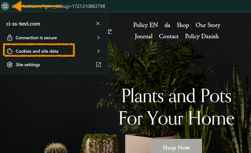 cookies and site data in the browser