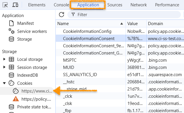 website cookie in the browser's console 